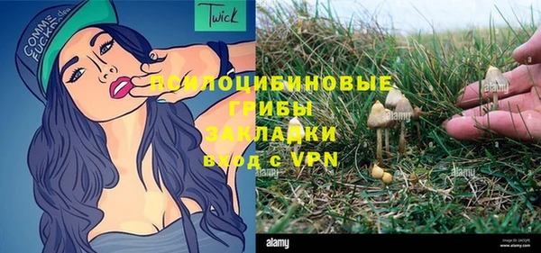 сатива Бугульма