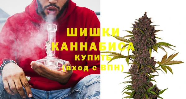 тгк Бронницы