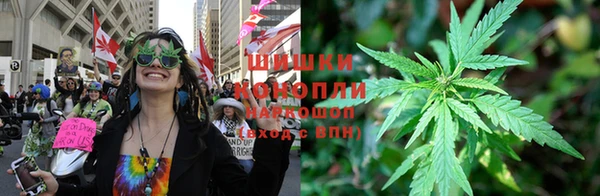 сатива Бугульма