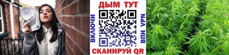 как найти закладки  Йошкар-Ола  Бошки марихуана марихуана 